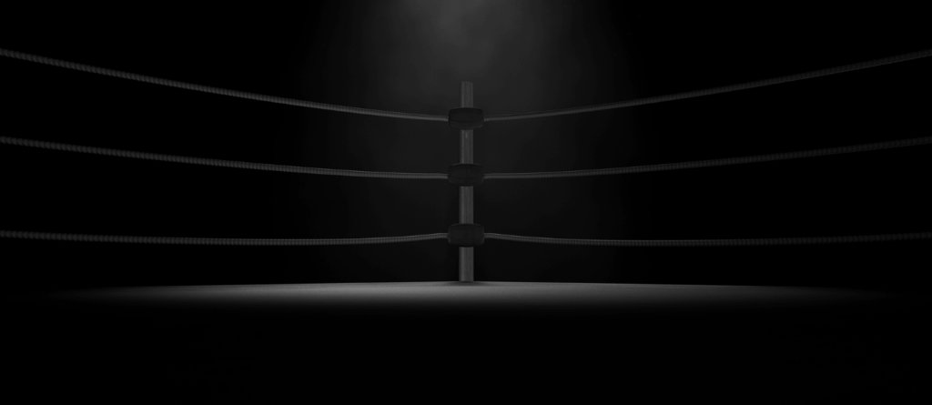 Escuela de boxeo en Muskiz 1